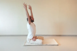 Bild zum Blogartikel Yoga-mudra Teil 4