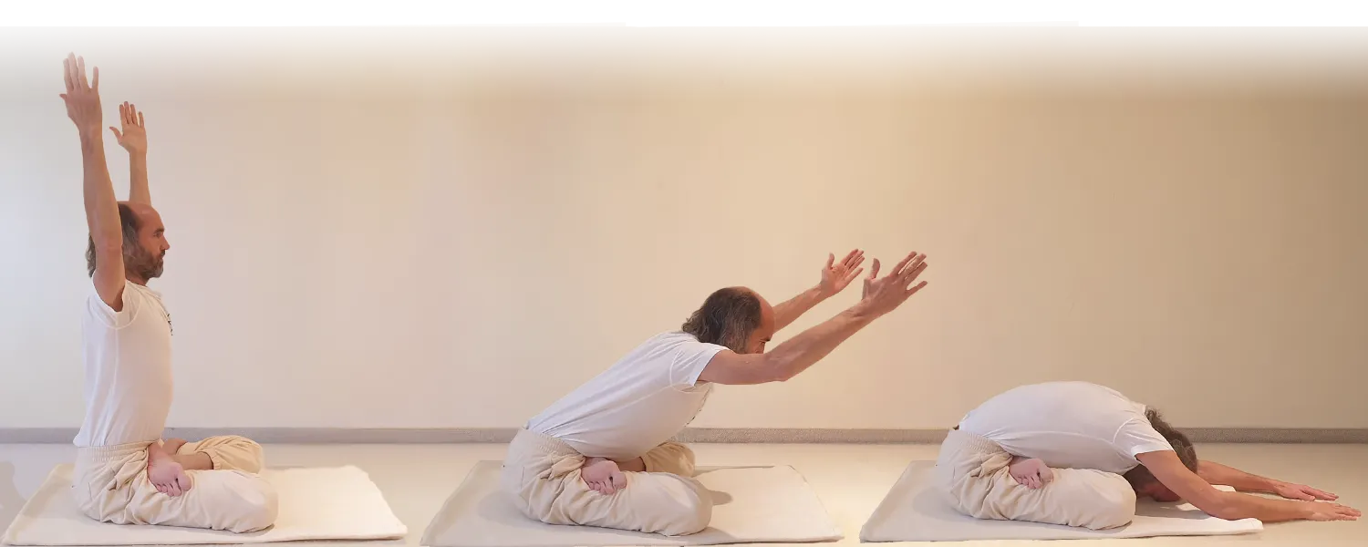 Beitragsbild Yoga Mudra in Padmasana (Lotus)