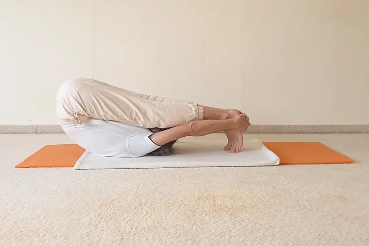 Beitragsbild für den Asanabeitrag über Virabhadrasana – der Krieger