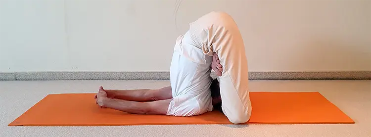 Beitragsbild Padma Halasana