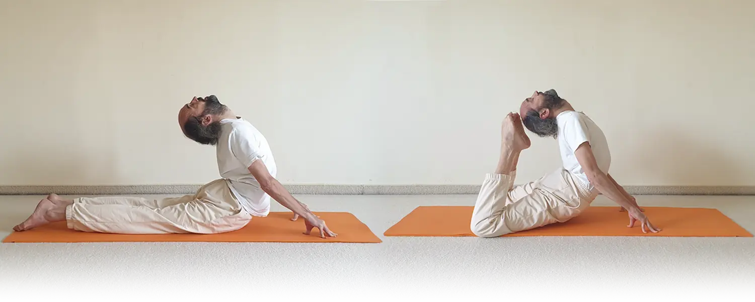 Beitragsbild zu Bhujangasana - die Kobraposition