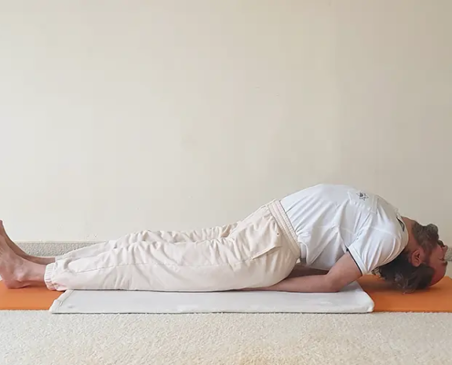 Beitragsbild zum Blogartikel der Asana Matsyasana – der Fisch