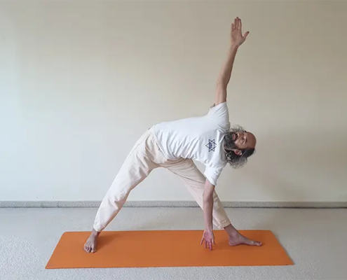 Beitragsbild zu Trikonasana - die Dreiecksposition