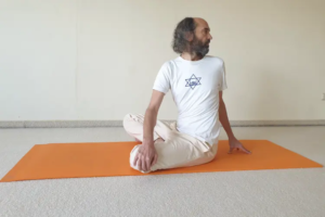 Bild zum Blogartikel (Ardha) Matsyendrasana